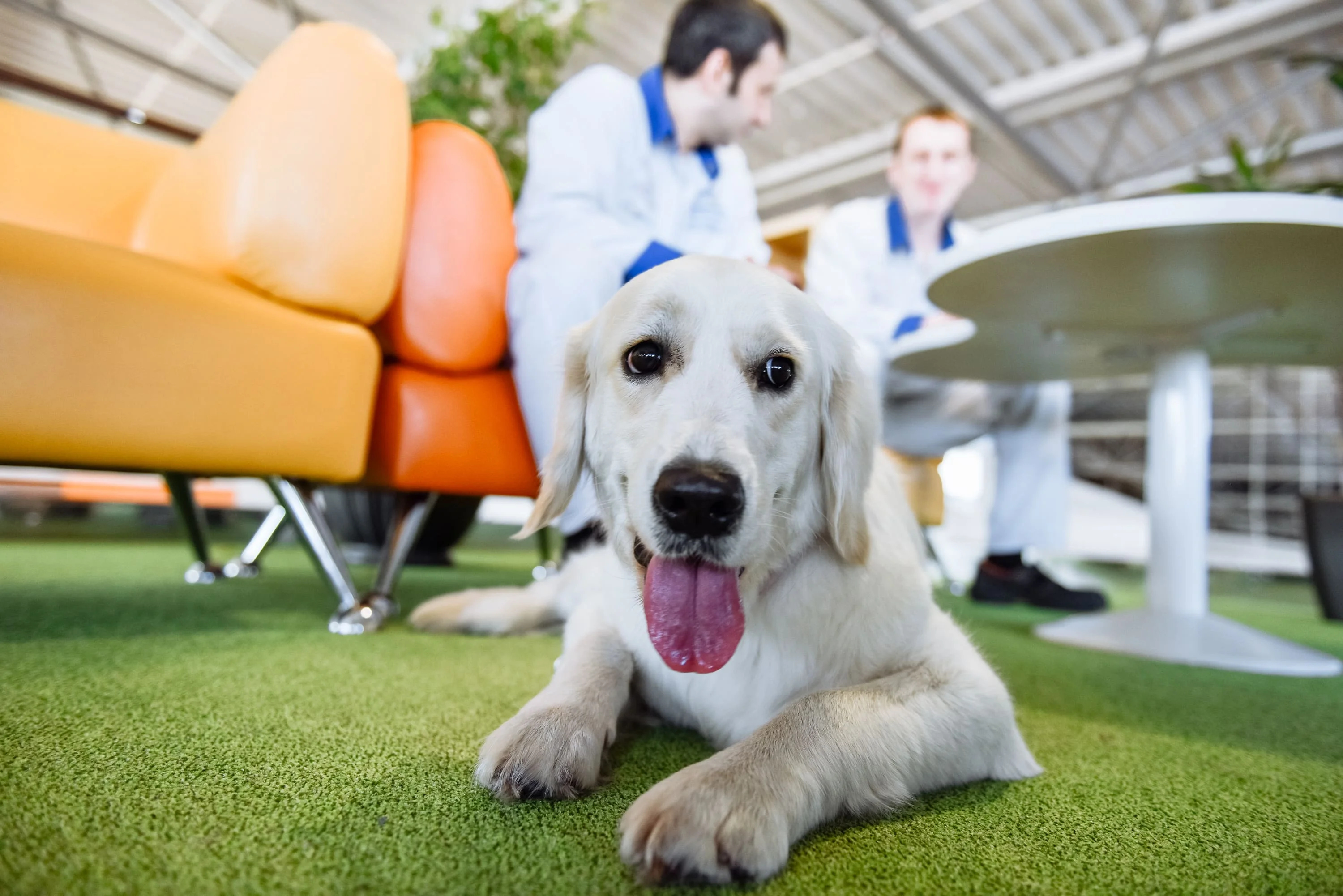 Новосибирск